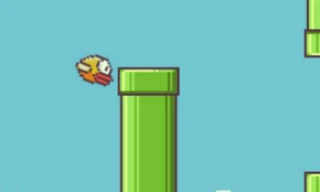 Một số nguồn tin từng cáo buộc Flappy Bird vi phạm bản quyền hình ảnh ống cống màu xanh của game Mario từ Nintendo.