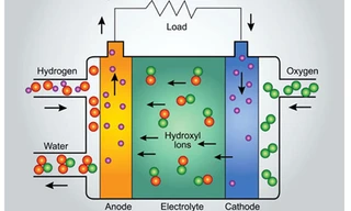 Pin điện thoại sẽ được sản xuất từ tảo biển?
