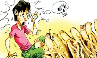 Suýt mất cả vợ và con vì... nhân sâm