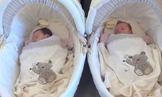 Hồng Nhung lần đầu tiên khoe ảnh cặp song sinh Tôm và Tép