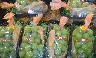 Nho xanh không hạt Nhật Bản đang được giới nhà giàu Việt chuộng mua về ăn