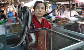 Người dân ở đây chỉ mua bán chủ yếu các loại rắn như: ri cá, ri voi, bông súng…