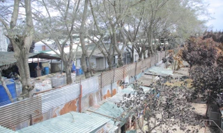 Lạnh người cảnh khu dân cư xơ xác sau sự cố rò khí amoniac