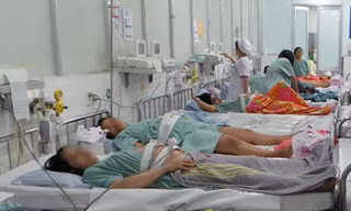 Nhiều ca mang thai hộ sẽ chào đời trong tháng 1