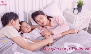 Nệm Thuần Việt ra mắt thị trường hai dòng sản phẩm mới