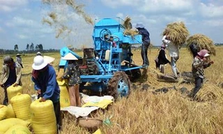 Duy trì sản lượng gạo xuất khẩu trung bình 6 - 7 triệu tấn mỗi năm, Việt Nam đã vươn lên vị trí nước xuất khẩu gạo lớn thứ 2 trên thế giới 