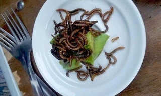 10 món ăn lạ lùng của các nhà hàng trên thế giới