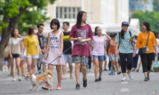 Chó không rọ mõm tung tăng trên phố đi bộ hồ Gươm