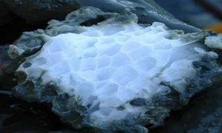 Băng cháy là chất rắn màu trắng, hình thành ở nhiệt độ thấp từ nước và khí methane do vi sinh vật tạo ra. Ảnh: SCMP.