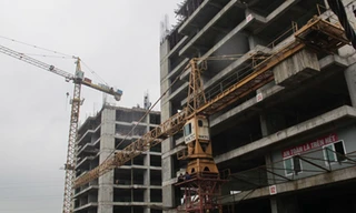 Nhiều dự án đã tìm được nguồn vốn để hồi sinh. 