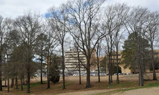 Đại học Mississippi - nơi hơn 1.000 xác chết được phát hiện. Ảnh: USA Today 