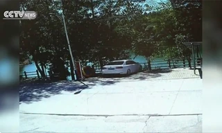 Hình ảnh cắt từ clip