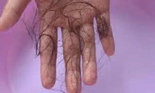 Ảnh minh họa: Internet