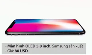Sản xuất một chiếc iPhone X tốn bao nhiêu?