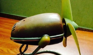 Bán đấu giá vốn tại thương hiệu quạt điện hơn 50 tuổi