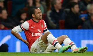Theo Walcott lại tái phát chấn thương