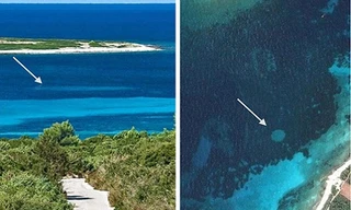 Vòng tròn thần tiên dưới đáy biển Đan Mạch. Ảnh: Science Advances.