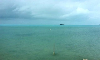 Cảnh tượng kỳ quái khi bão Irma rút cạn nước biển