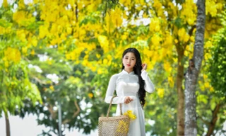 'Hot girl tráng bánh mướt' xứ Nghệ đẹp dịu dàng dưới tán hoàng yến