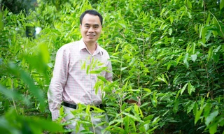 Nguyễn Văn Tưởng, Chủ tịch công Ty Trầm Hương Khánh Hoà