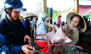 Nghề bế heo thuê ở chợ Bà Rén