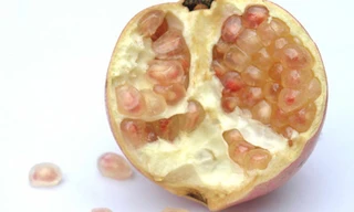 Lựu - Ảnh: Hạ Huy