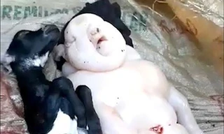 Hai "con dê" sau khi được đưa ra khỏi bụng mẹ đều đã chết. Ảnh: The Mirror