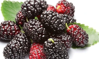 11 món ăn giúp nhuận tràng