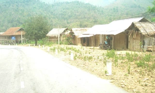 Giữa trưa, đường sá vắng tanh, nắng như đổ lửa. Ảnh: H.P