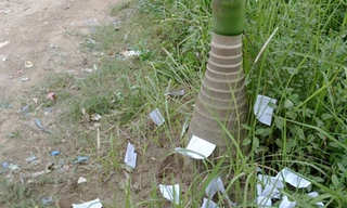 'Phao' thi vẫn xuất hiện