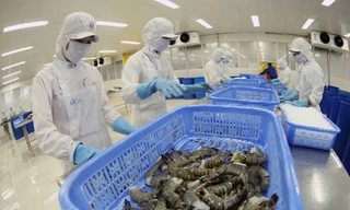 Mỹ công nhận tôm Việt Nam không bán phá giá