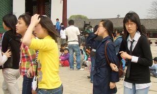 Nữ thanh niên Hàn Quốc mải lo sự nghiệp. Ảnh: T.Đ