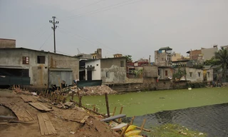 Bức tử trước khi hồi sinh