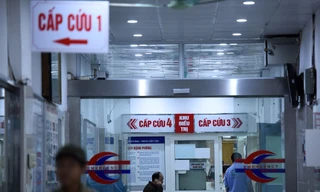 Ảnh minh họa: Internet