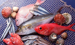 Ảnh minh họa: Internet