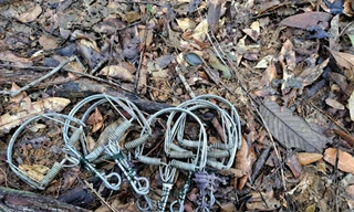 Tháo dỡ 'thiên la địa võng' giữa rừng cấm Bạch Mã