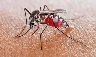 Ảnh minh hoạ: Internet