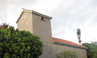 Nuôi chim yến trên Tây Nguyên