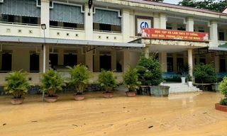 Một trường học ở Lâm Đồng có nguy cơ bị vùi lấp do đồi cao 70m sạt lở