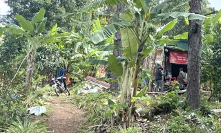 Vụ bé gái 2 tuổi mất tích bí ẩn ở Lâm Đồng: Huy động gần 100 người tìm kiếm