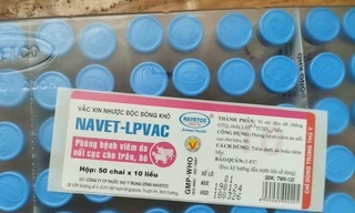 Nguyên nhân khiến đàn bò sữa chết bất thường ở Lâm Đồng