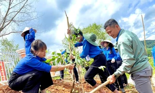 Hàng nghìn thanh niên Lâm Đồng được hỗ trợ sau hoàn lương 