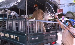 Bốn người trong nhà bị chó cắn, một bệnh nhi tử vong sau ba tháng