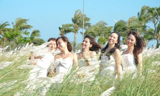 Đà Nẵng vào mùa cỏ lau đẹp hút hồn, hàng ngàn người đến 'check-in'