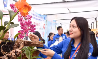  Thúc đẩy tinh thần khởi nghiệp, sáng tạo của thanh niên Lâm Đồng
