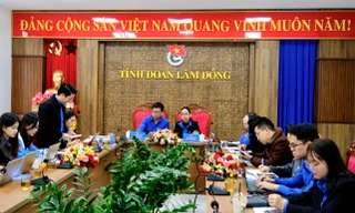 Tuổi trẻ Tây Nguyên trồng hơn 2,3 triệu cây xanh một năm