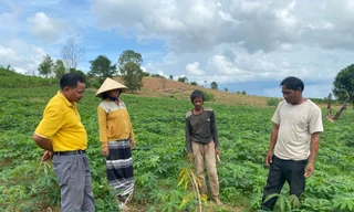 'Thay đổi nếp nghĩ cách làm' trong vùng đồng bào DTTS, giúp bà con vươn lên làm giàu