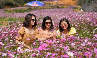 Khách du lịch tới Lâm Đồng trong top đông nhất nước 