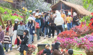 Măng Đen đón hàng trăm nghìn lượt du khách dịp Tết