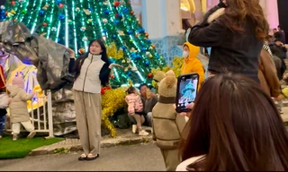 Hàng nghìn người chen chân 'check-in' bên cây thông cao 17m ở nhà thờ Con Gà 